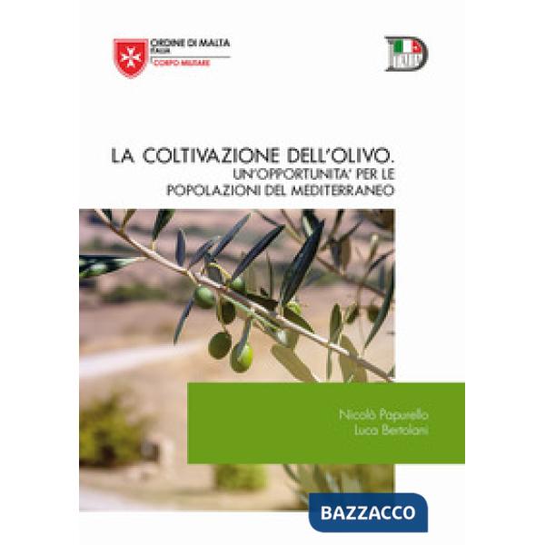 Romanzo perduto e... ritrovato. Nuova ediz. (Il)