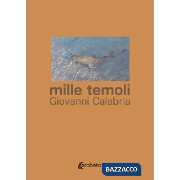 Mille temoli. Nuova ediz.
