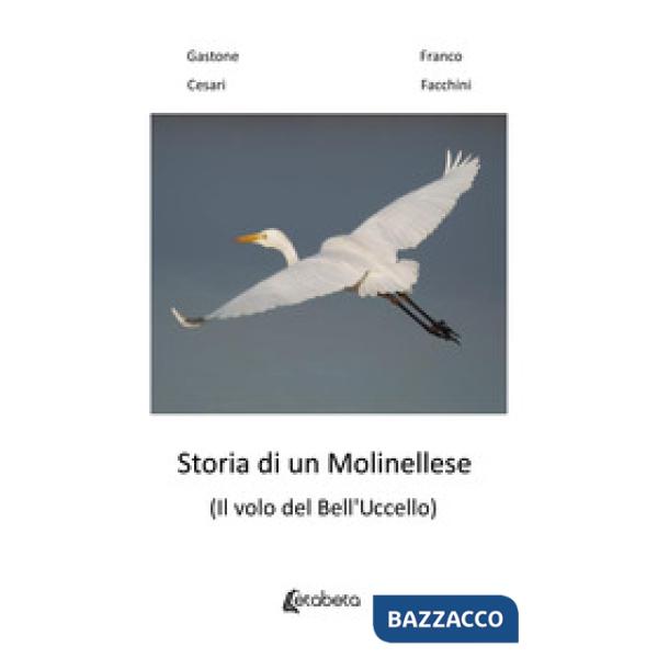 Storia di un molinellese (Il volo del Bell'Uccello)