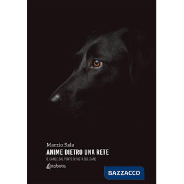 Anime dietro una rete. Il canile dal punto di vista del cane