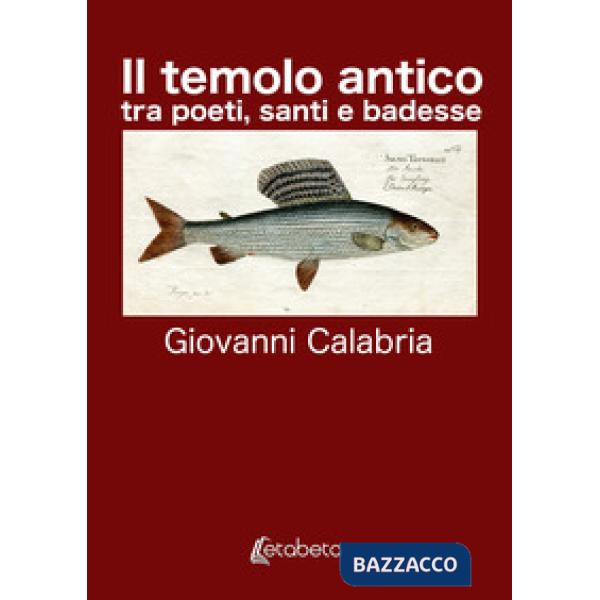 Temolo Antico. tra poeti, santi e badesse. Nuova ediz. (Il)