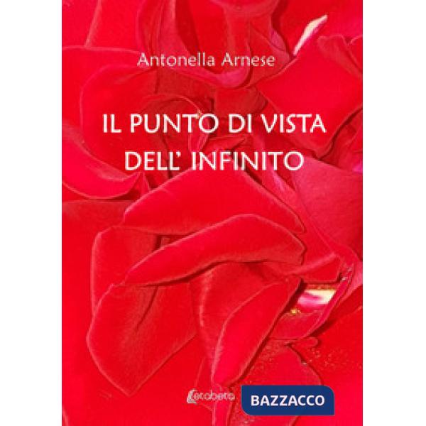 Punto di vista dell'infinito (Il)