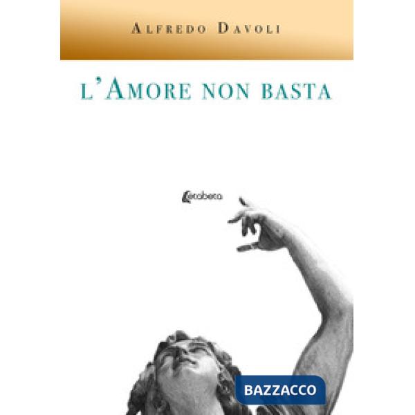 Amore non basta (L')