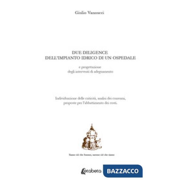 Due diligence dell'impianto idrico di un ospedale e progettazione degli interventi di adeguamento. Individuazione delle criticit