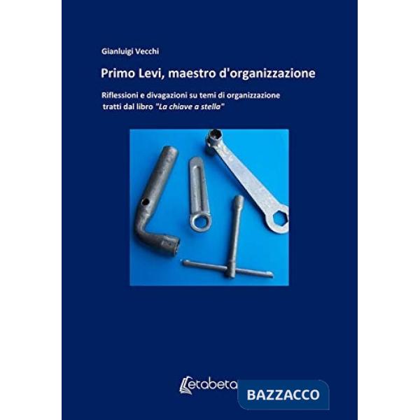 Primo Levi, maestro d'organizzazione. Riflessioni e divagazioni su temi di organizzazione tratti dal libro «La chiave a stella»
