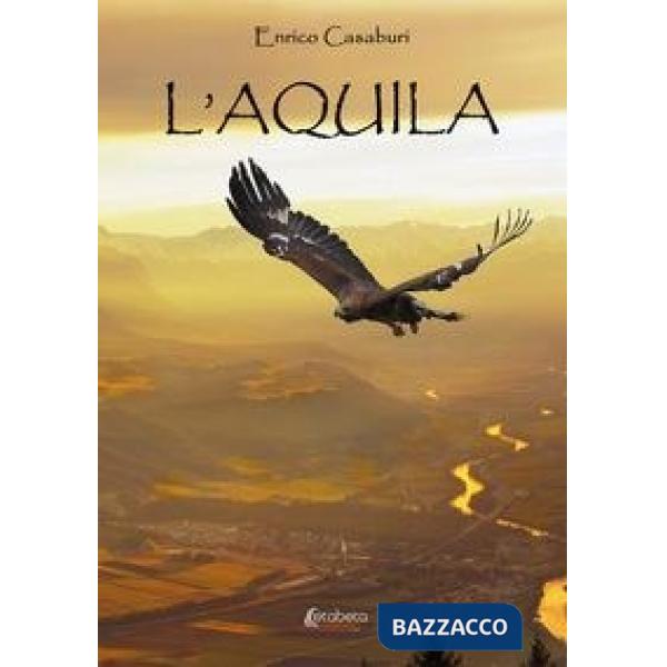 Aquila (L')