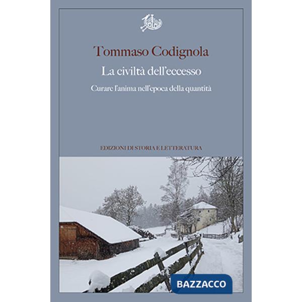 Civiltà dell'eccesso. Curare l'anima nell'epoca della quantità (La)