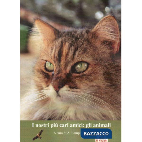 Nostri più cari amici: gli animali (I)