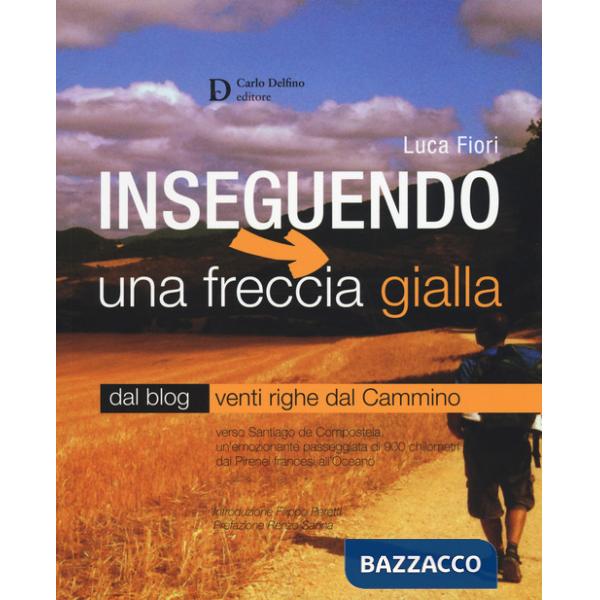 Inseguendo una freccia gialla. Verso Santiago de Compostela, un'emozionante passeggiata di 900 chilometri dai Pirenei francesi a