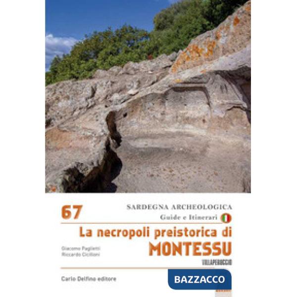 Necropoli preistorica di Montessu