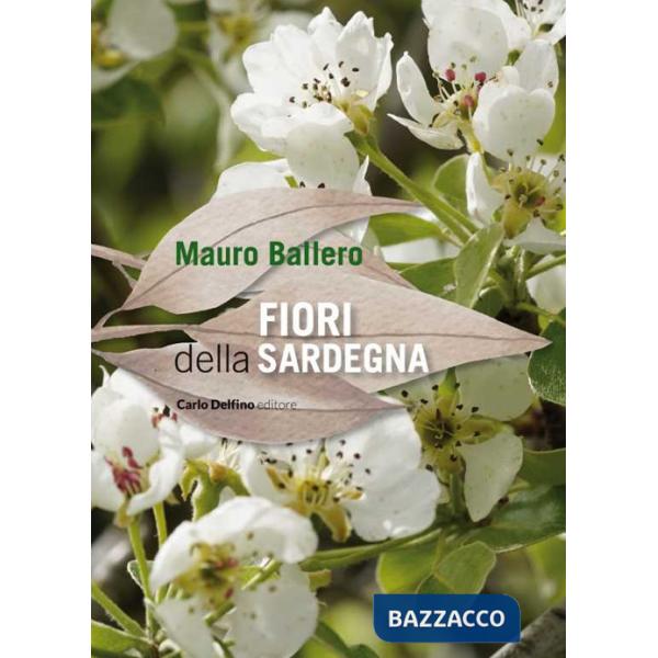 Fiori della Sardegna