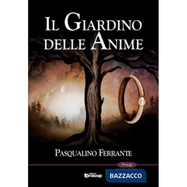 Giardino delle anime (Il)