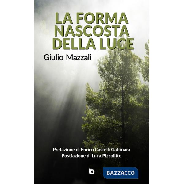 Forma nascosta della luce (La)