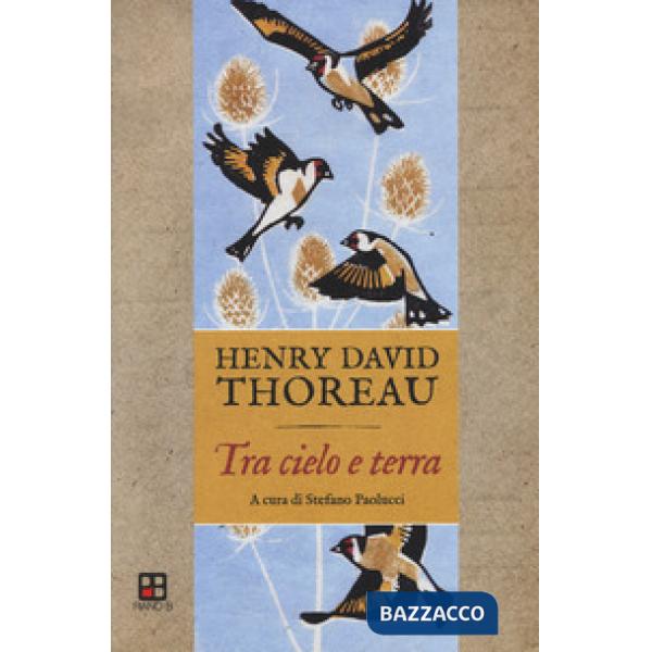 Tra cielo e terra. Appunti e riflessioni sugli uccelli