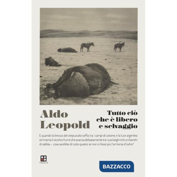 Tutto ciò che è libero e selvaggio