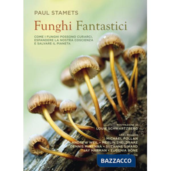 Funghi fantastici