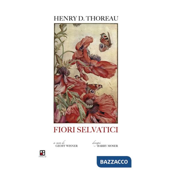 Fiori selvatici: escursioni botaniche e contemplazioni della natura