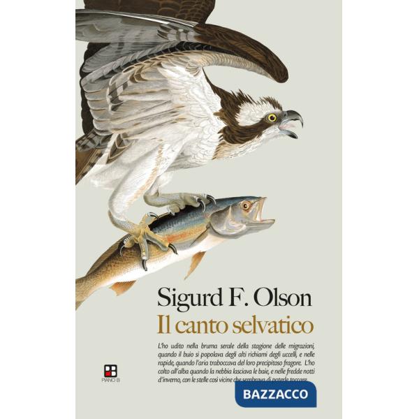 Canto selvatico (Il)