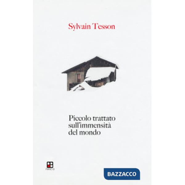 Piccolo trattato sull'immensità del mondo