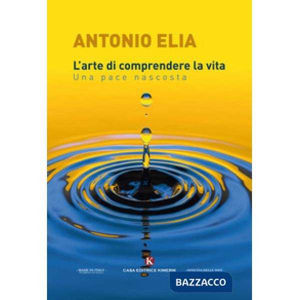 Arte di comprendere la vita. Una pace nascosta (L')