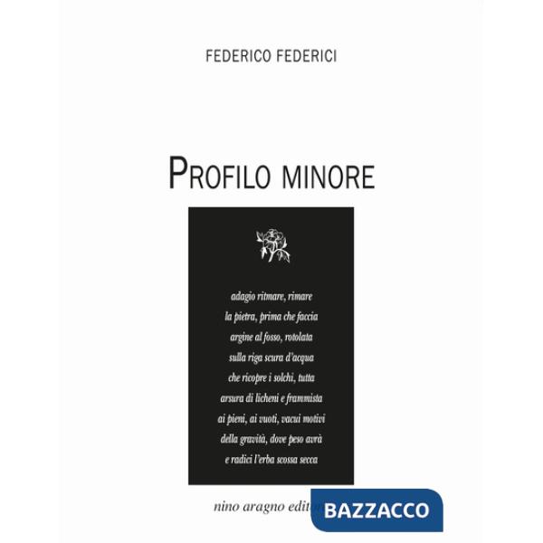 Profilo minore