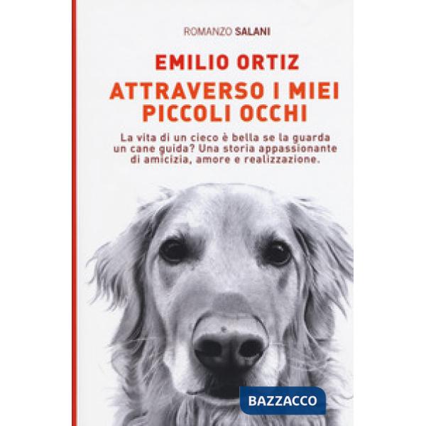 Attraverso i miei piccoli occhi