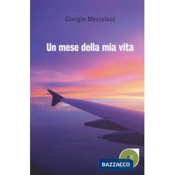 Mese della mia vita (Un)