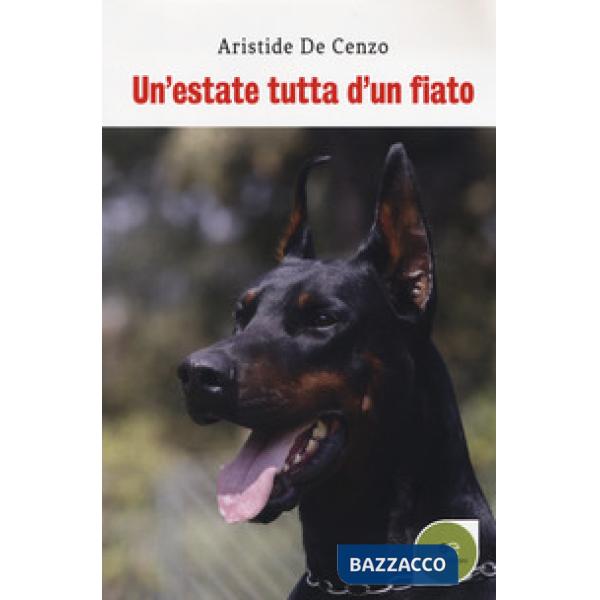 Estate tutta d'un fiato (Un')