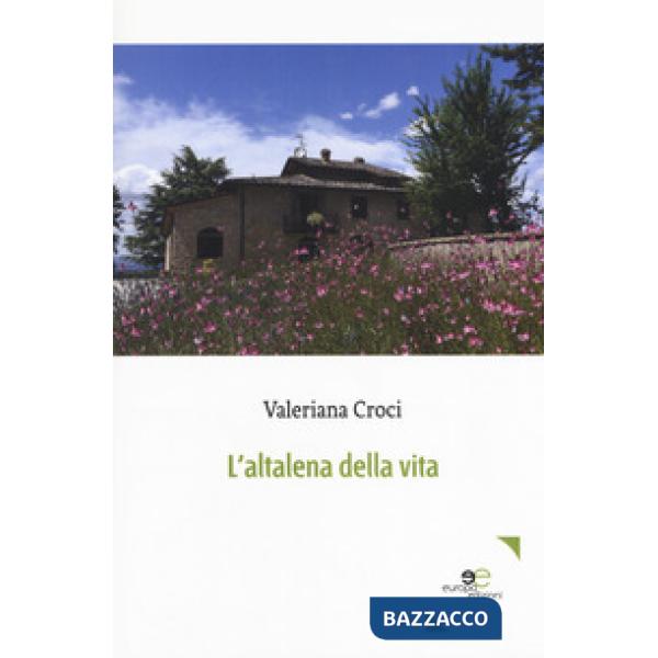 Altalena della vita (L')