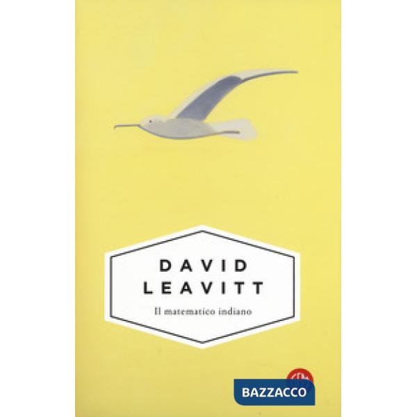 Matematico indiano (Il)