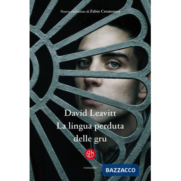 Lingua perduta delle gru (La)