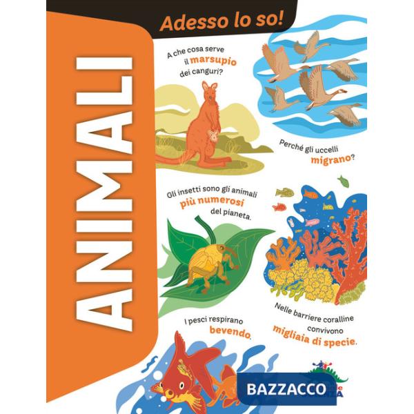 Animali. Adesso lo so!