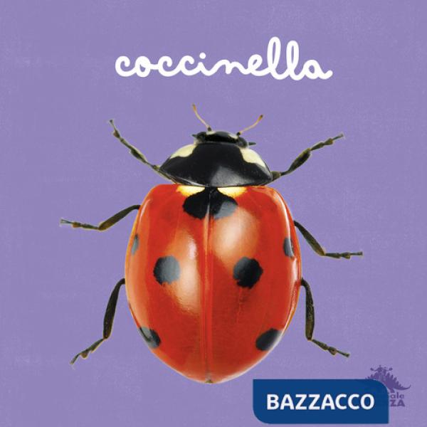 Coccinella. Ediz. a colori