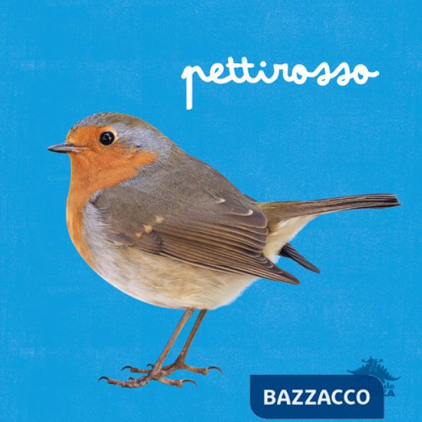 Pettirosso. Ediz. a colori