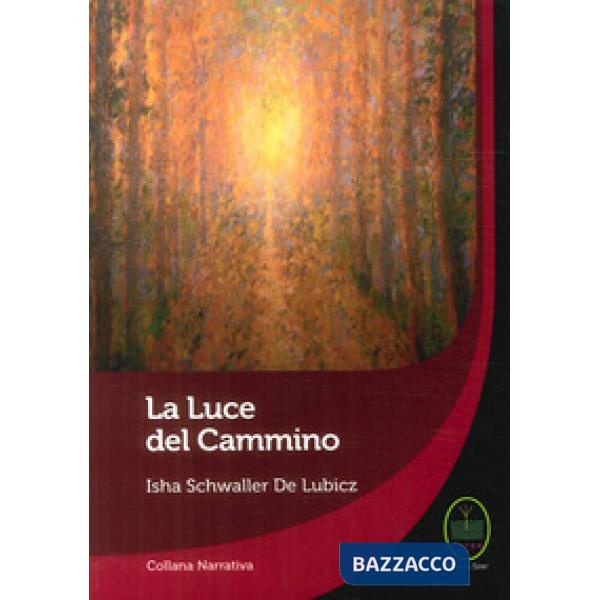 Luce del cammino (La)