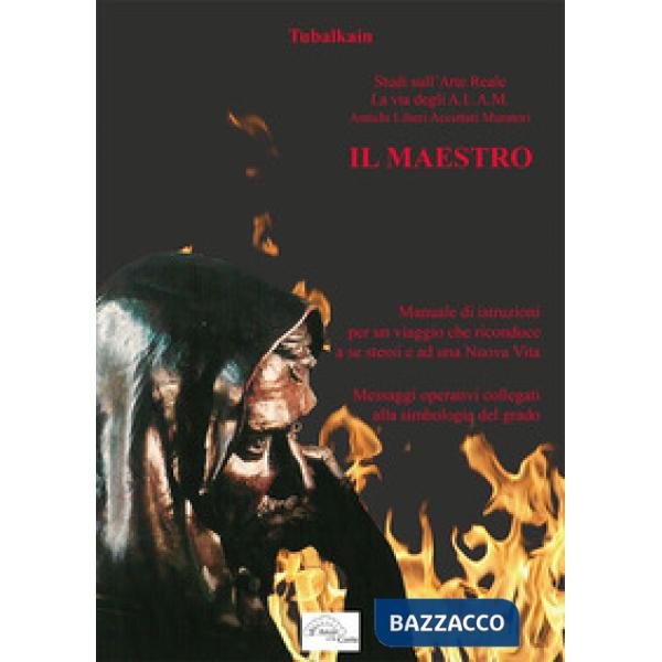Maestro. Manuale di istruzioni per un viaggio che riconduce a se stessi e ad una