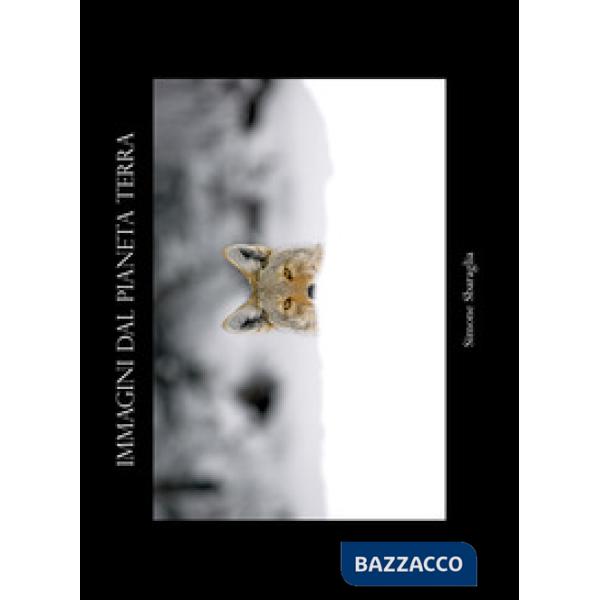 Immagini dal pianeta Terra. Ediz. illustrata