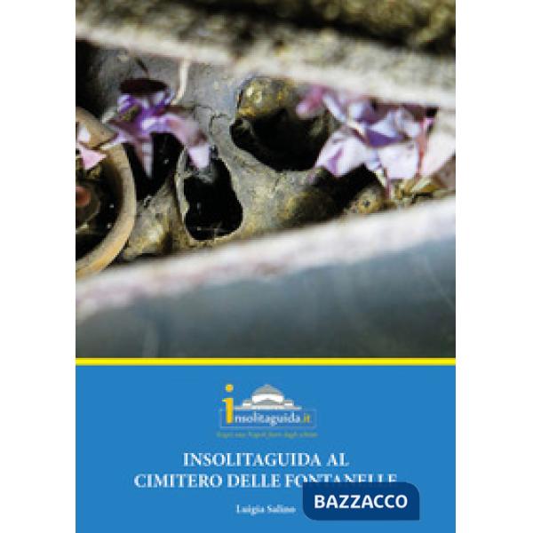 Insolitaguida al Cimitero delle Fontanelle