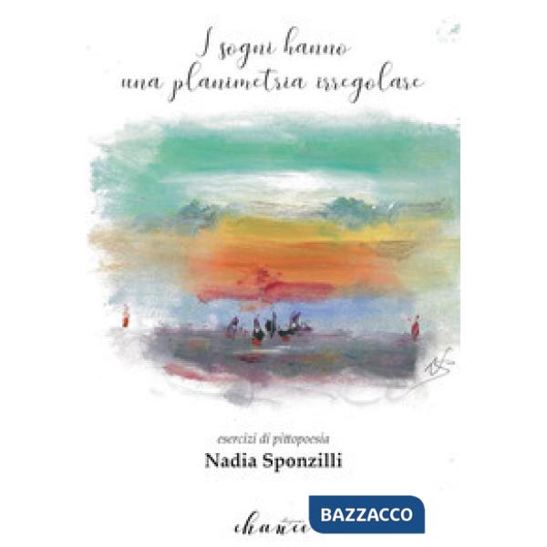 Sogni hanno una planimetria irregolare (I)