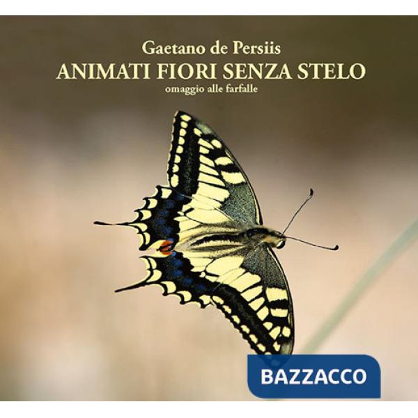 Animati fiori senza stelo. Omaggio alle farfalle