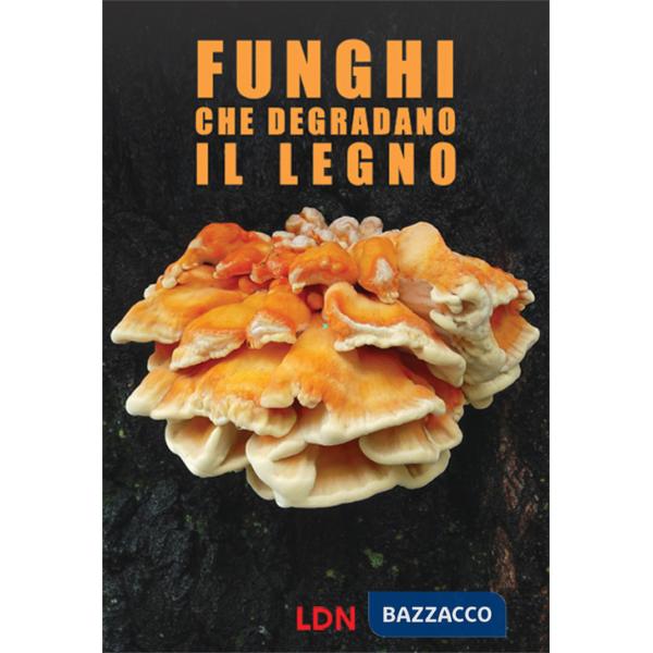 Funghi che degradano il legno. Dinamiche di azione e conseguenze per gli alberi in ambiente forestale e urbano
