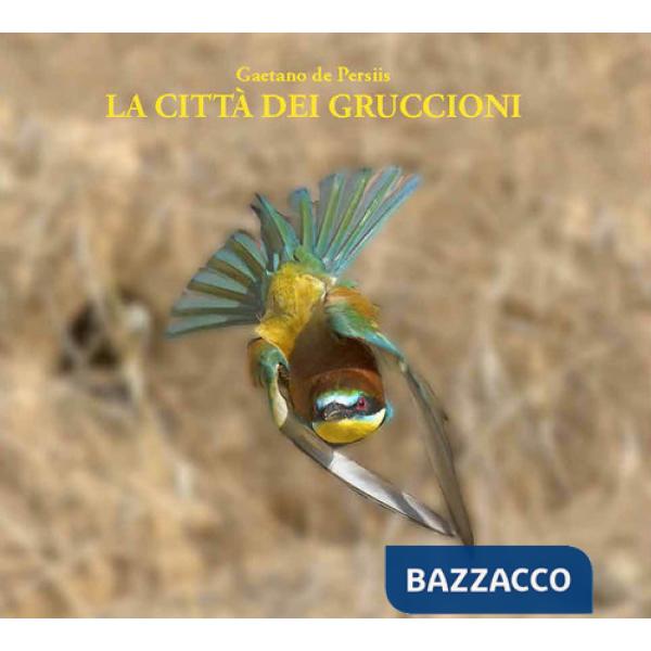 Città dei gruccioni. Ediz. illustrata (La)