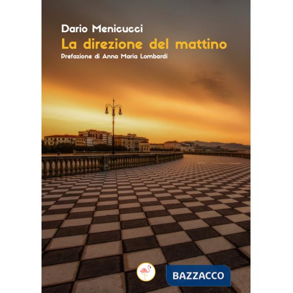 Direzione del mattino (La)