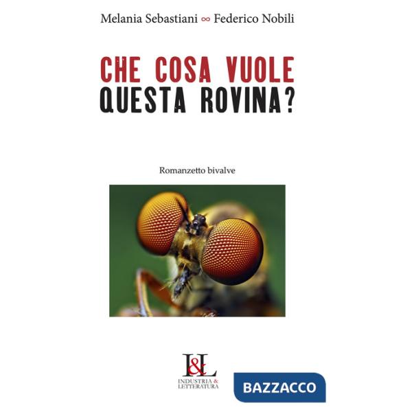 Che cosa vuole questa rovina? Romanzetto bivalve