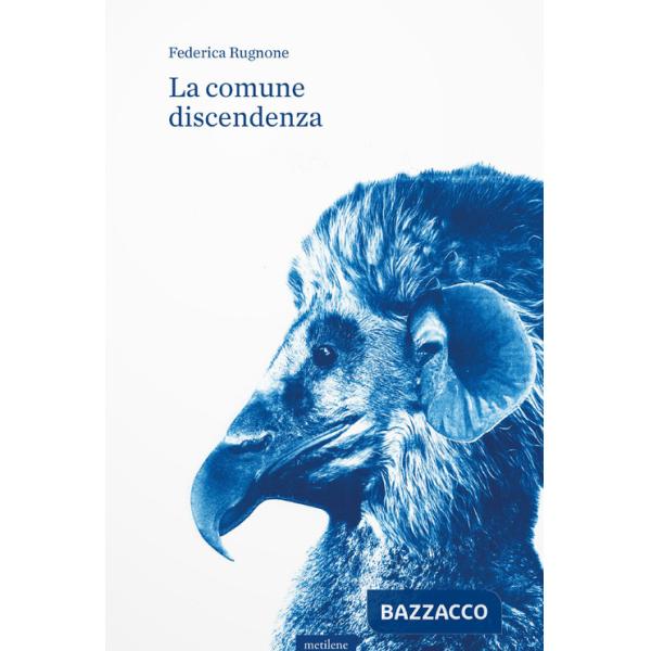 Comune discendenza (La)