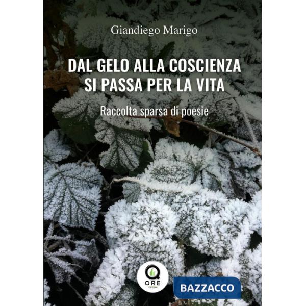 Dal gelo alla coscienza si passa per la vita. raccolta sparsa di poesie