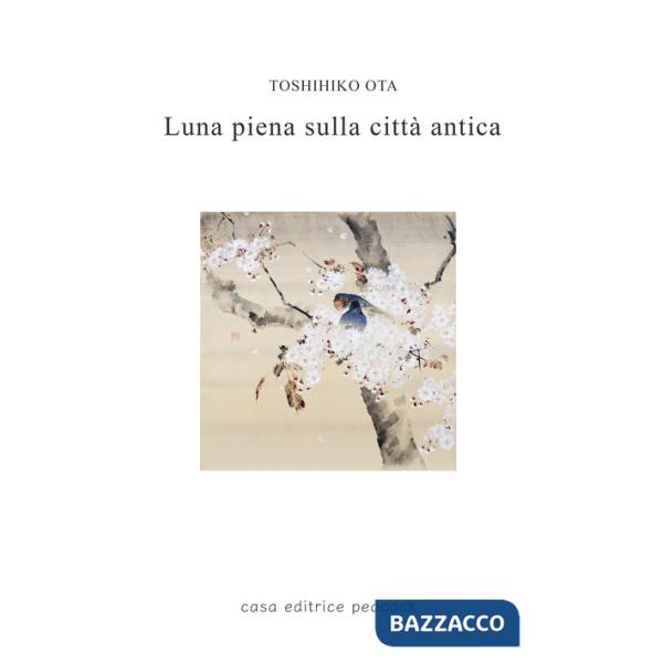 Luna piena sulla città antica