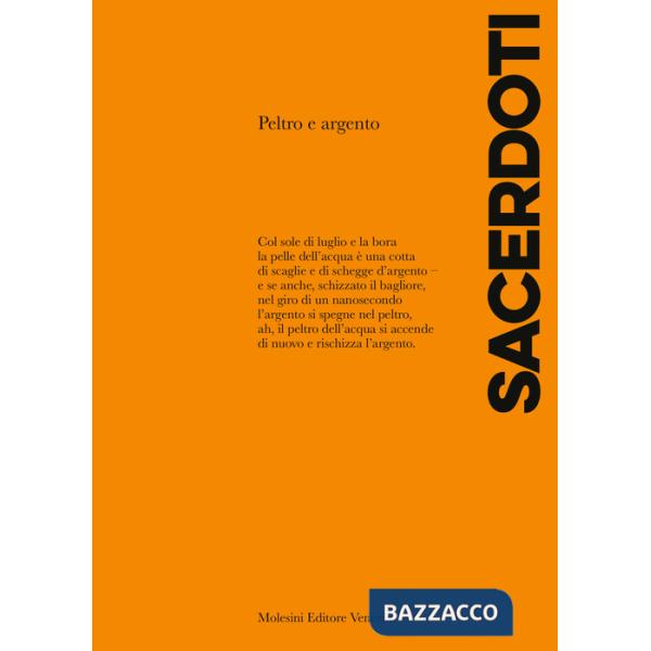 Peltro e argento. Nuova ediz.