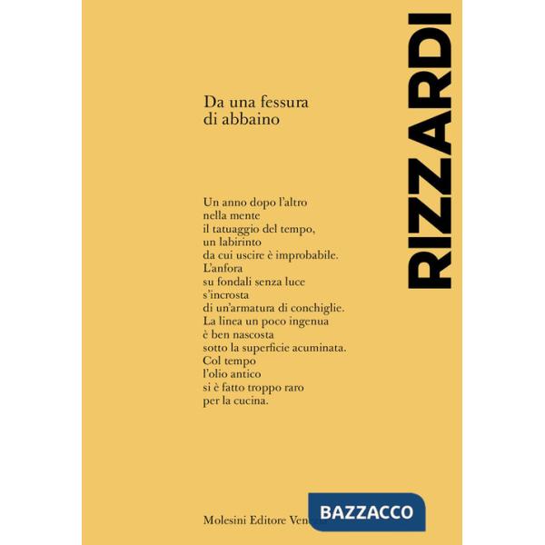 Da una fessura di abbaino