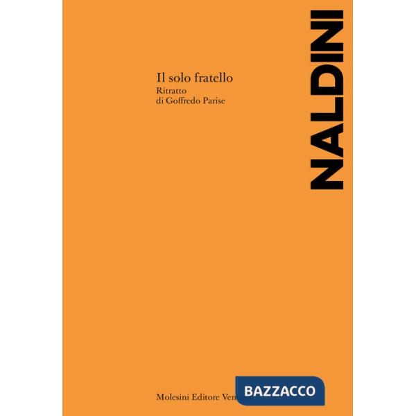 Solo fratello. Ritratto di Goffredo Parise (Il)